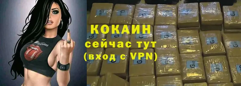 Cocaine Fish Scale  кракен как войти  Медынь 